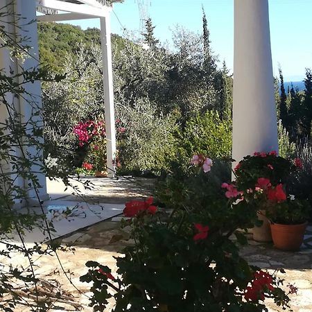 Villa Buras Skinária Exteriér fotografie
