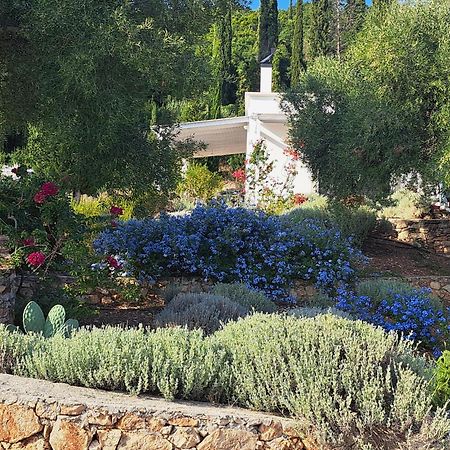 Villa Buras Skinária Exteriér fotografie