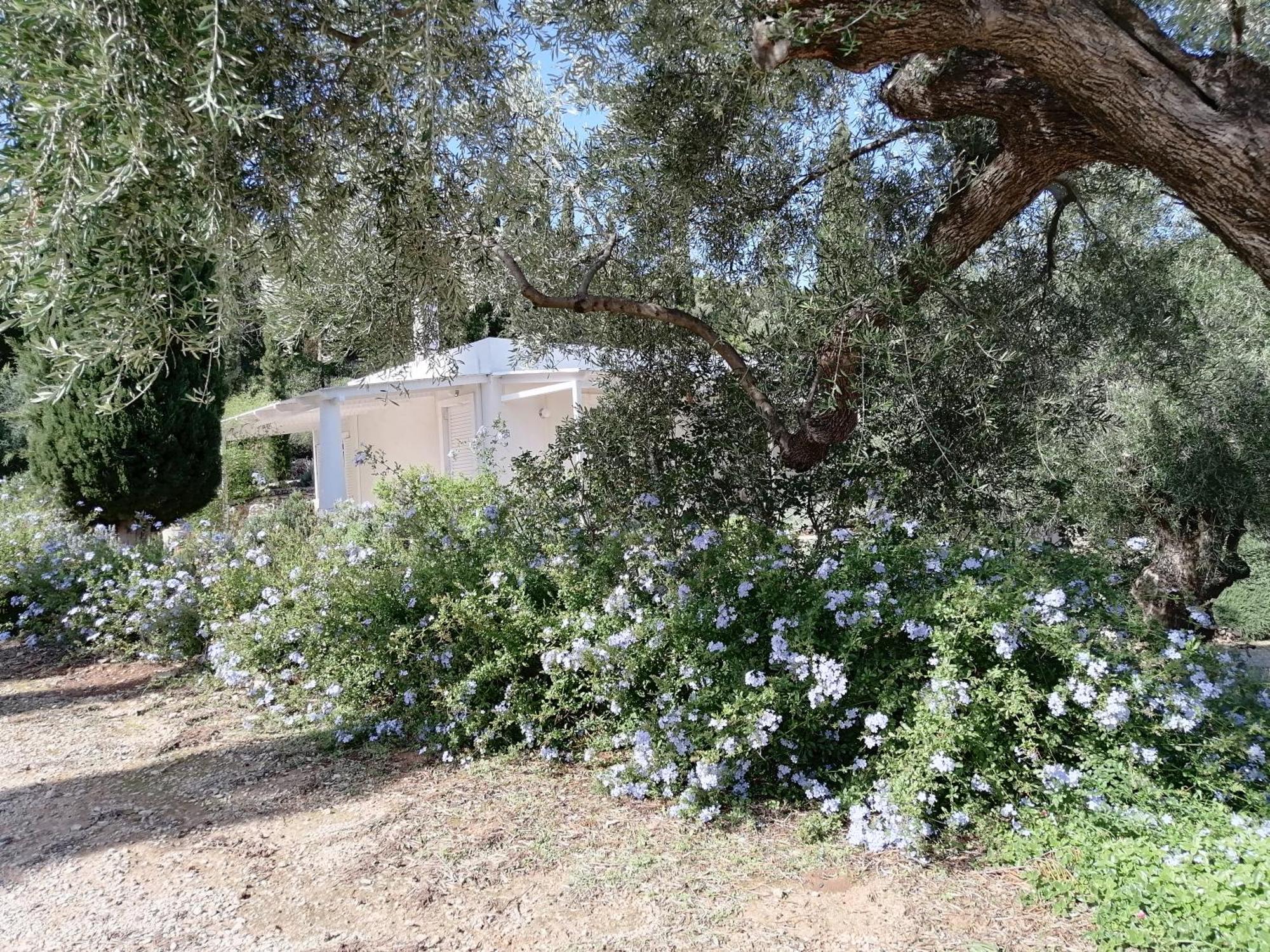 Villa Buras Skinária Exteriér fotografie