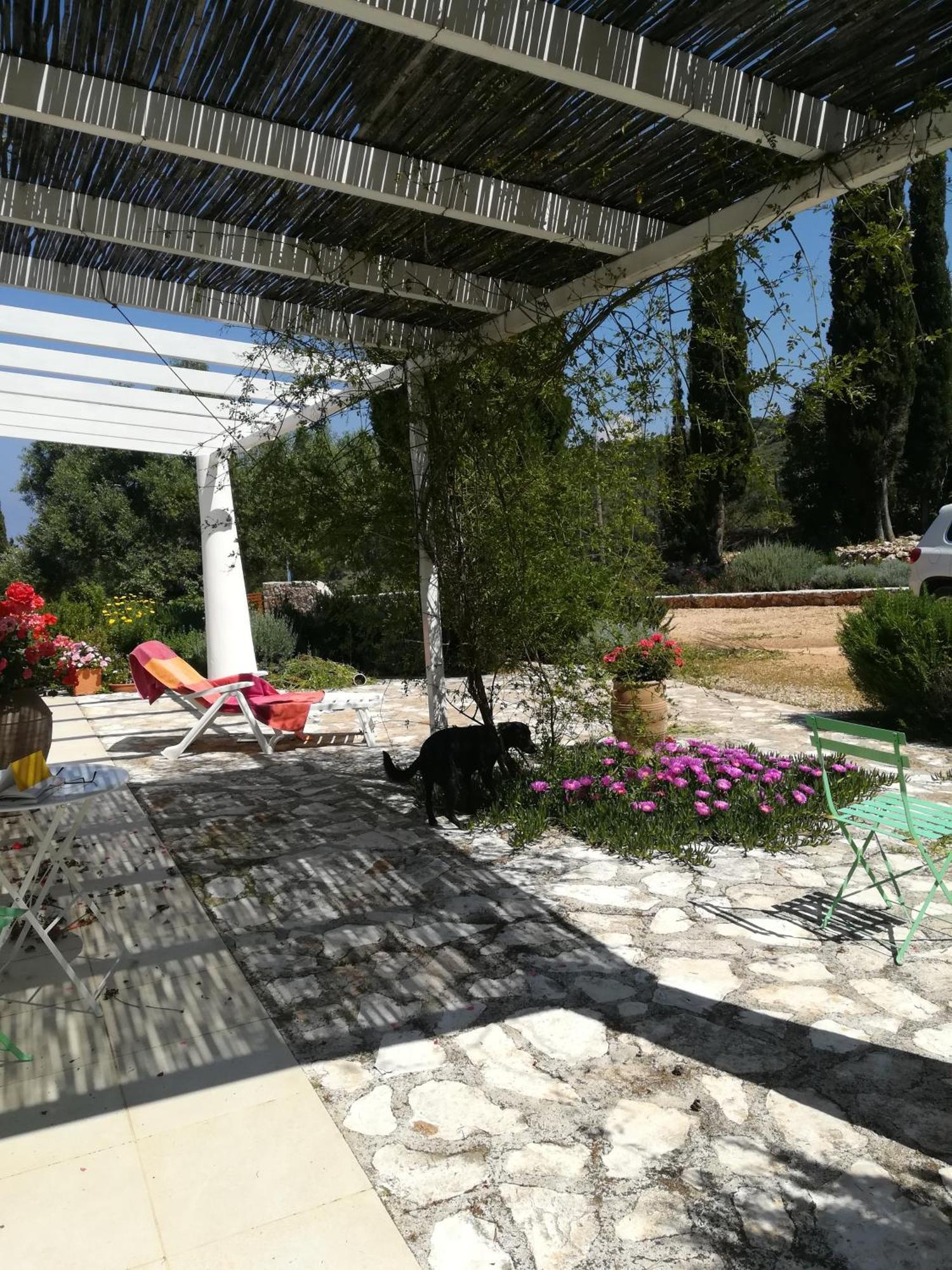 Villa Buras Skinária Exteriér fotografie