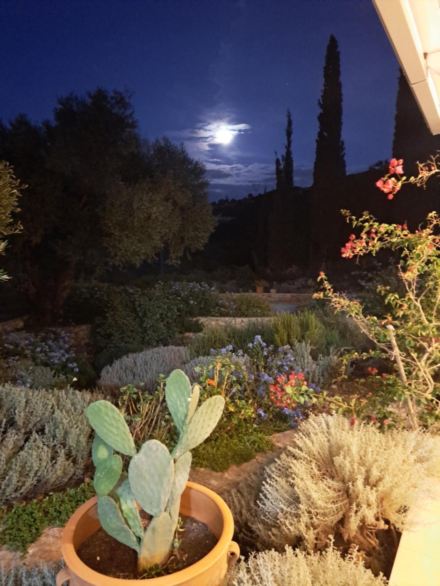 Villa Buras Skinária Exteriér fotografie