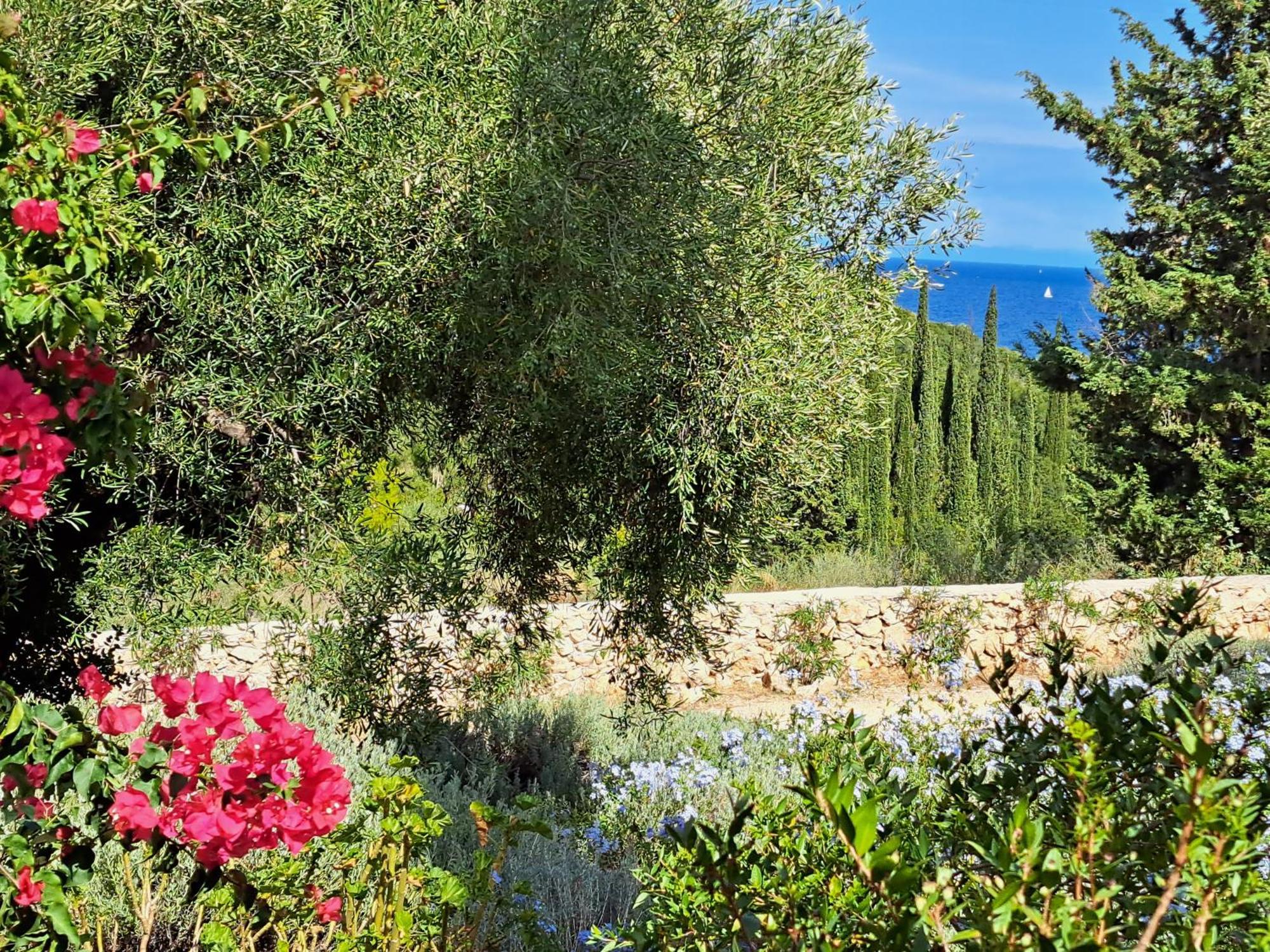 Villa Buras Skinária Exteriér fotografie