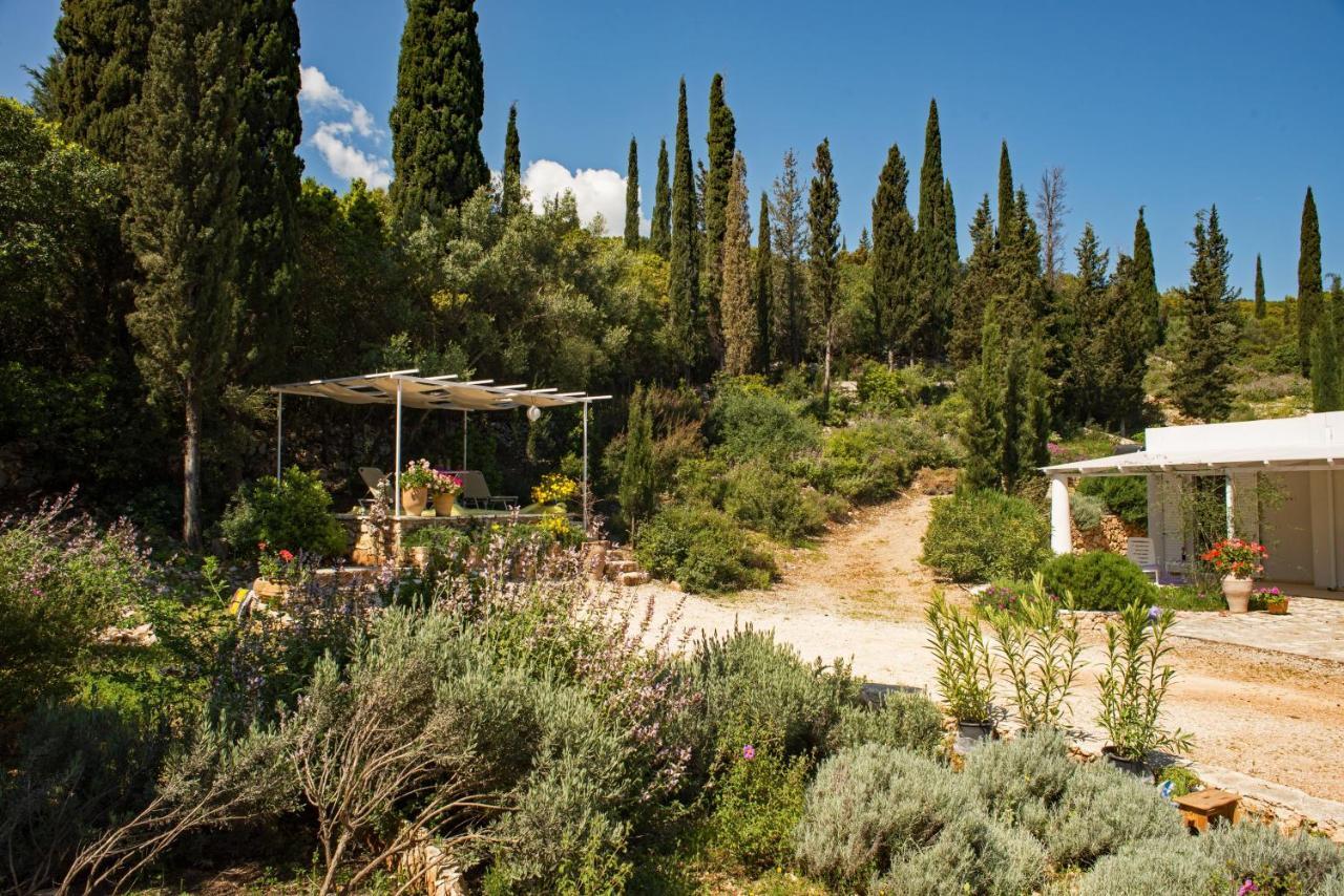 Villa Buras Skinária Exteriér fotografie